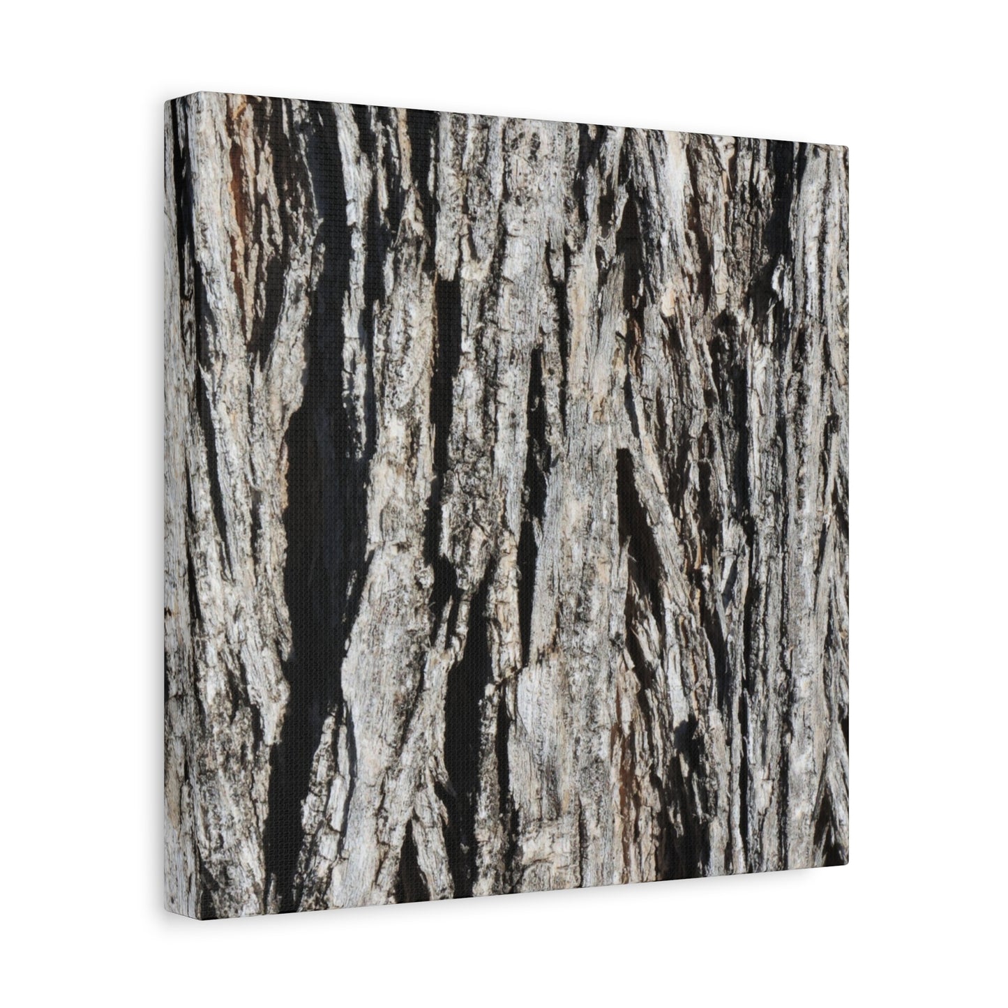 Bark Layers in Monochrome - Unique Frameless Canvas Wall Art