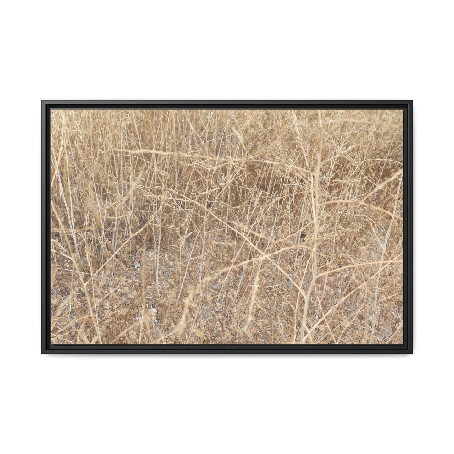 Golden Stalks - Unique Stretched Canvas Wall Art