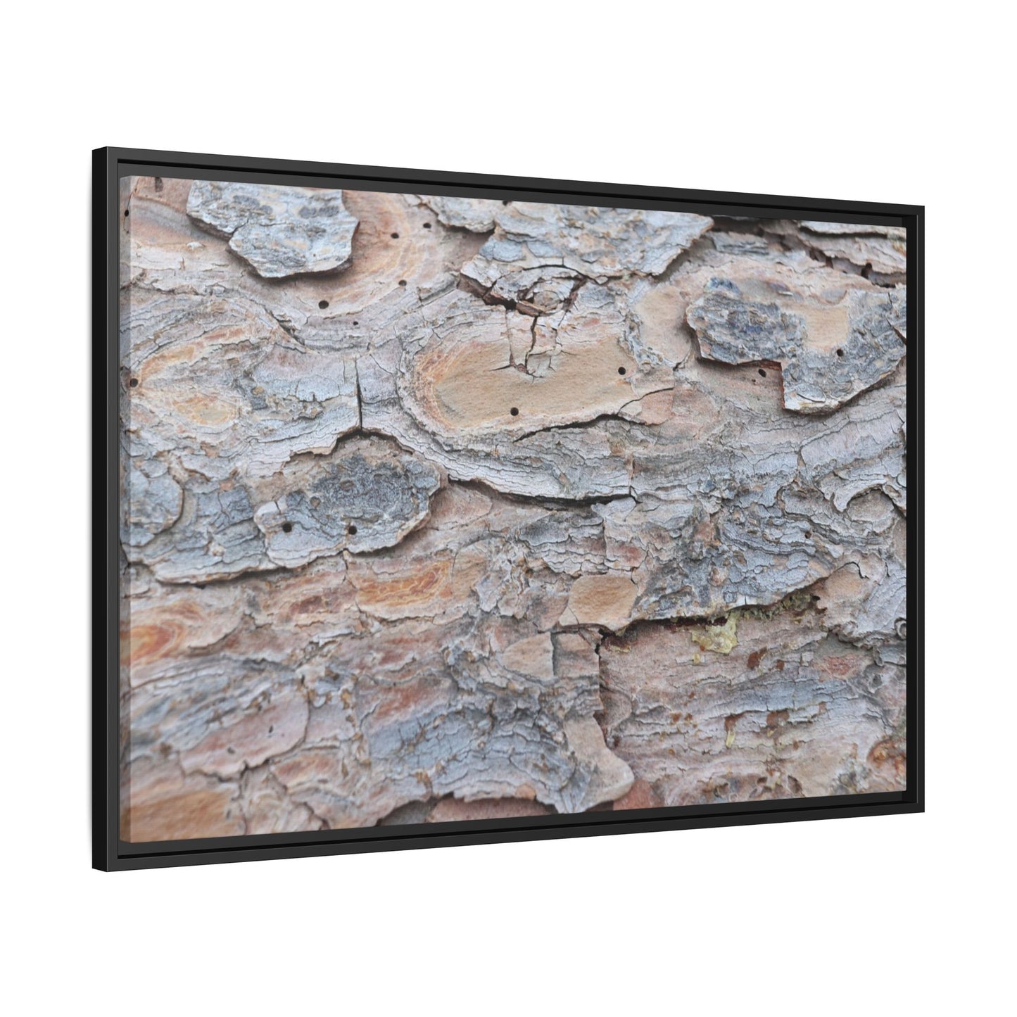 Peeling Memories - Unique Stretched Canvas Wall Art