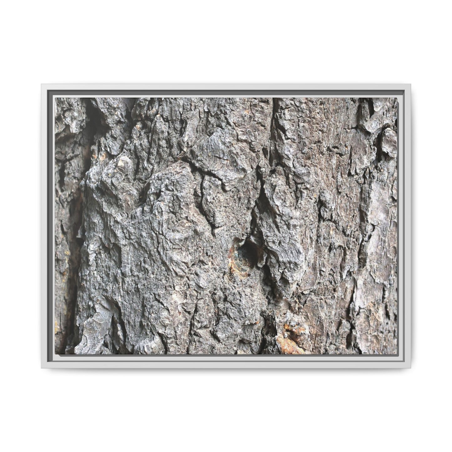 Crusty Exterior - Unique Stretched Canvas Wall Art