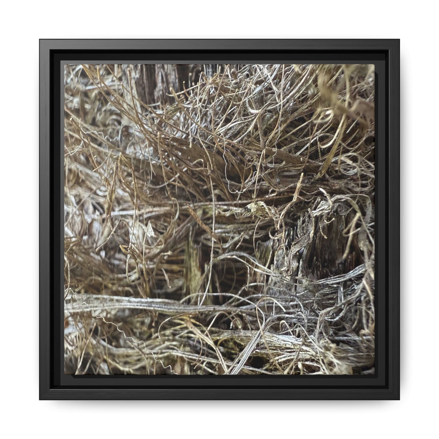 Tangled Whispers of Autumn - Unique Stretched Canvas Wall Art