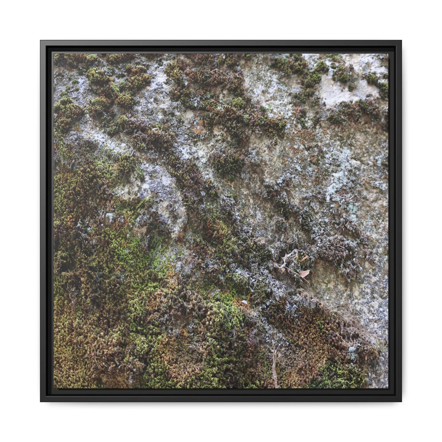 Mossy Whispers - Unique Stretched Canvas Wall Art