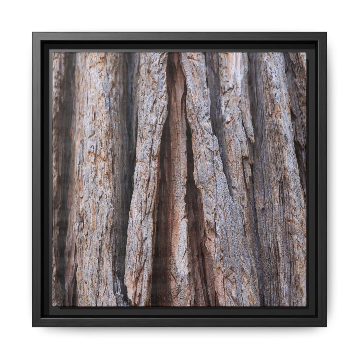 Nature's Sculpture - Unique Stretched Canvas Wall Art