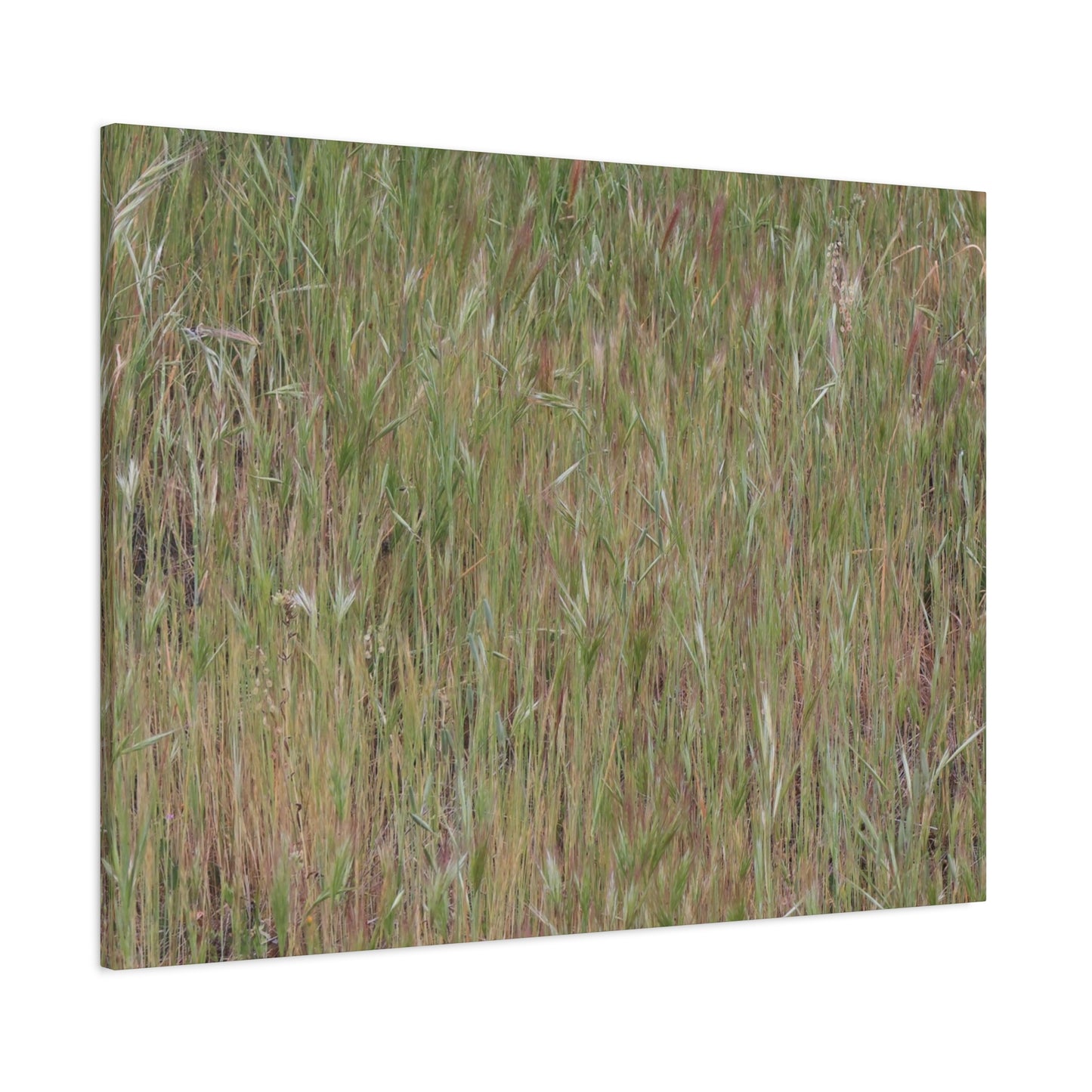 Whispers of the Prairie - Unique Frameless Canvas Wall Art