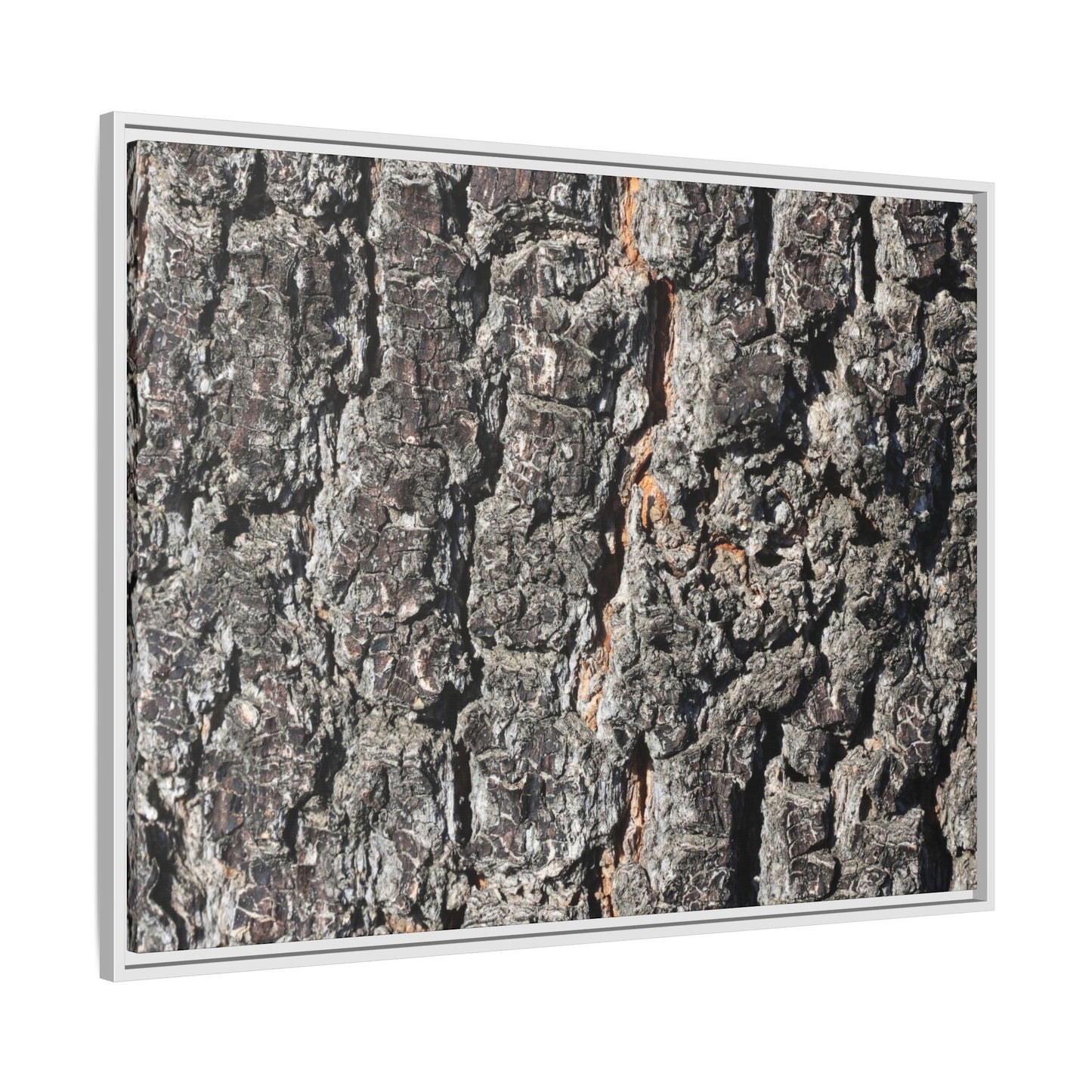 Aged Beauty - Unique Stretched Canvas Wall Art