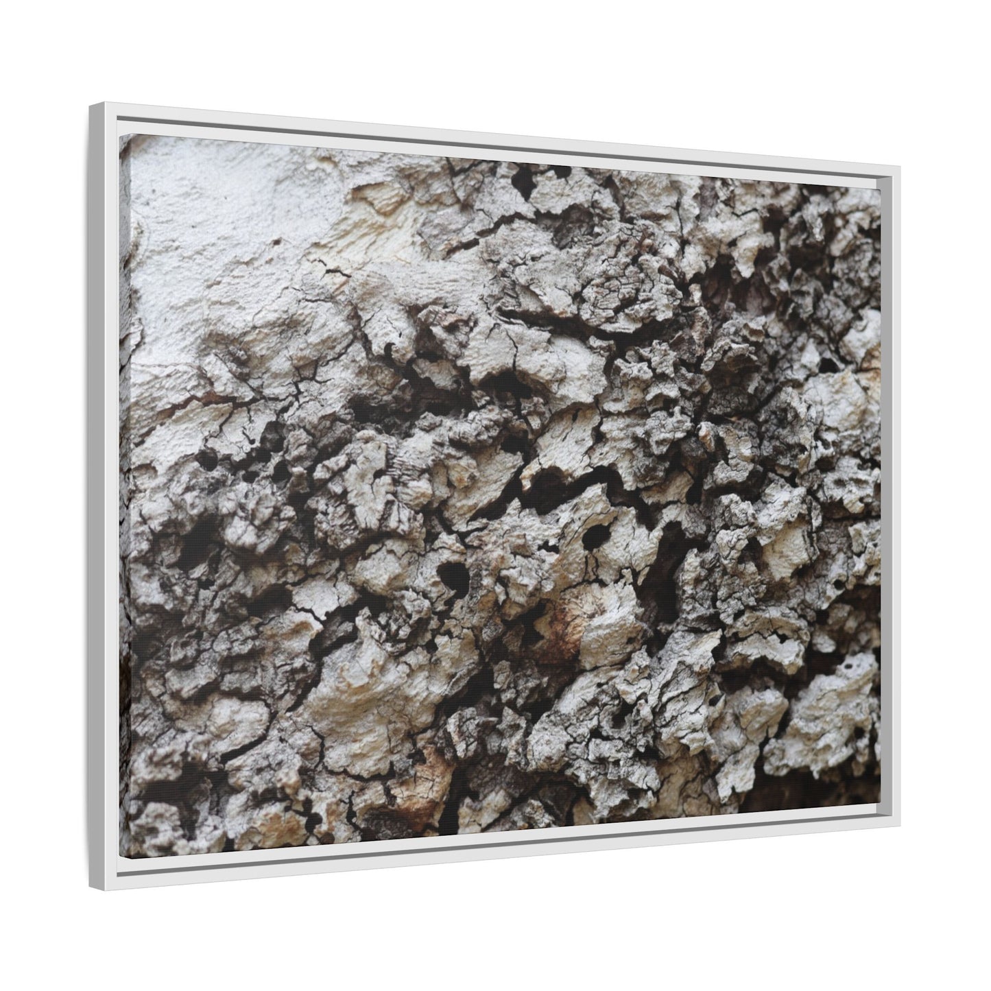 Cracked Terrain - Unique Stretched Canvas Wall Art