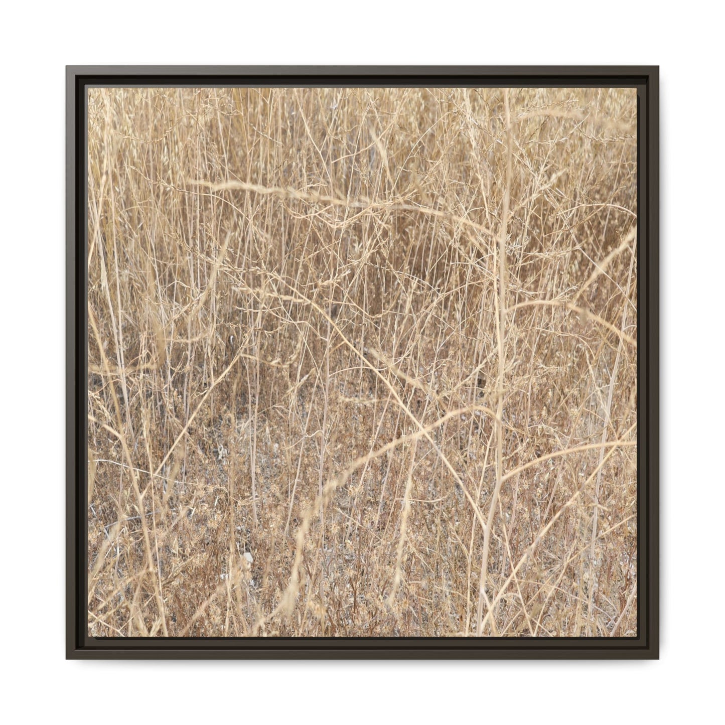 Golden Stalks - Unique Stretched Canvas Wall Art