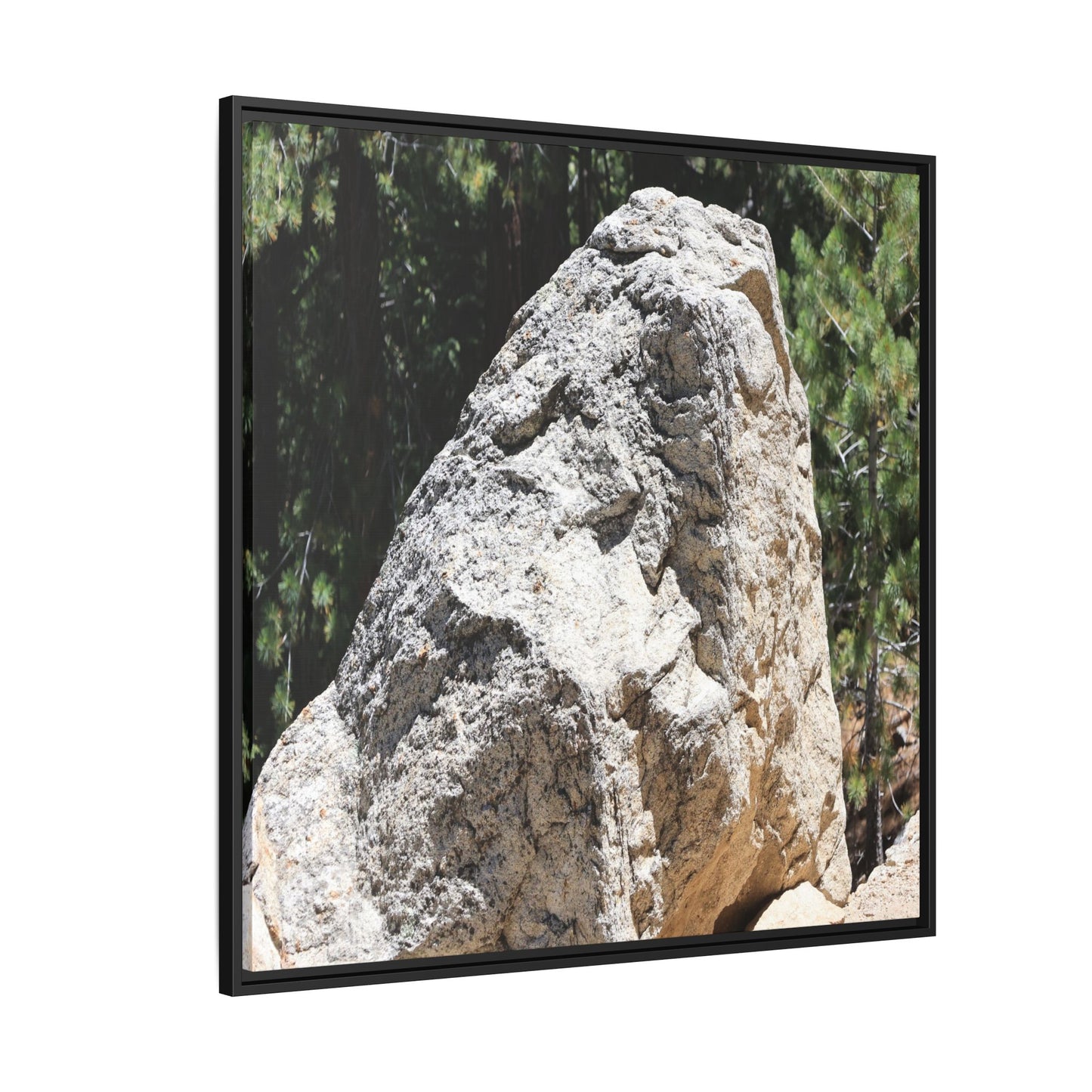 Stone's Silent Whisper - Unique Stretched Canvas Wall Art