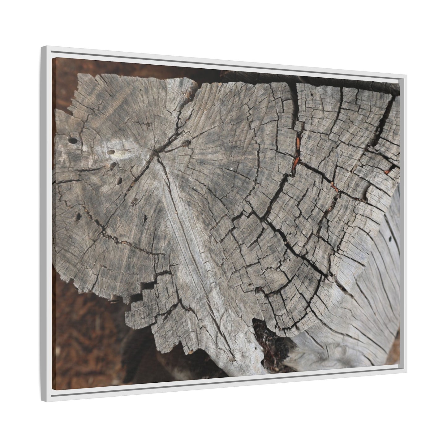 Time's Signature - Unique Stretched Canvas Wall Art