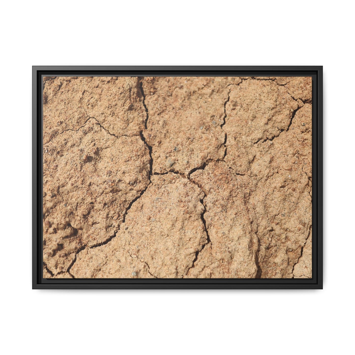 Parched Land - Unique Stretched Canvas Wall Art