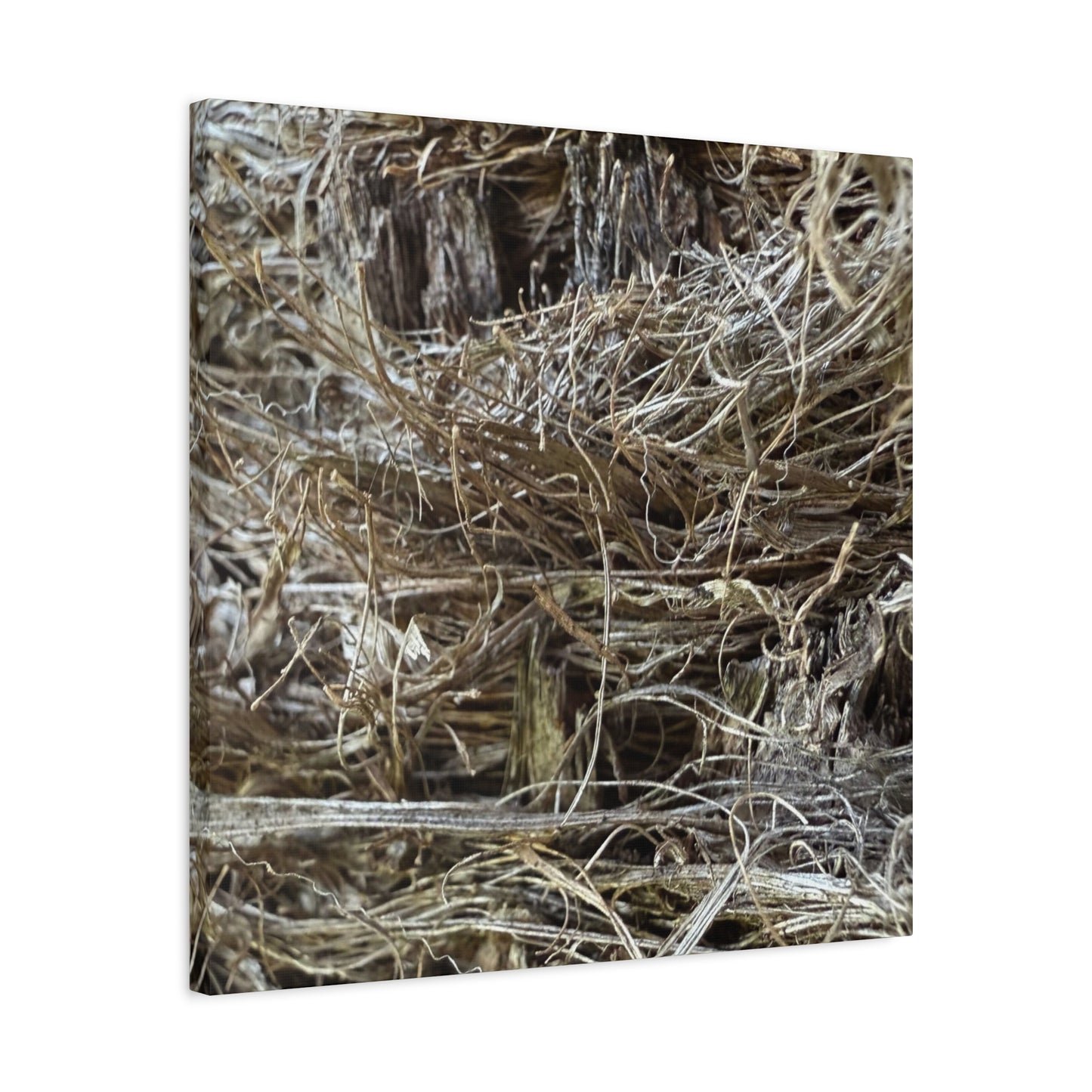 Whispers in Dry Grass - Unique Frameless Canvas Wall Art
