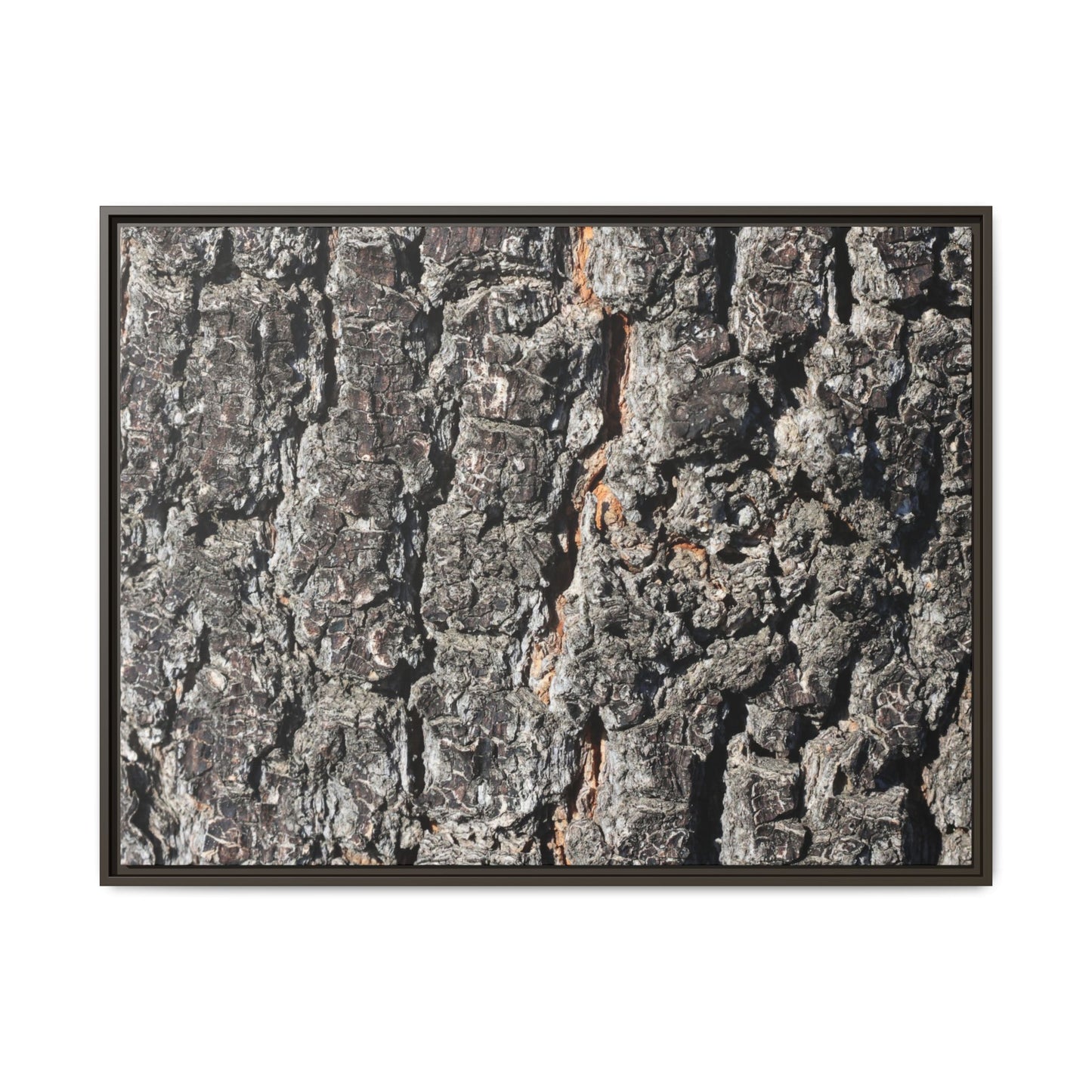 Aged Beauty - Unique Stretched Canvas Wall Art