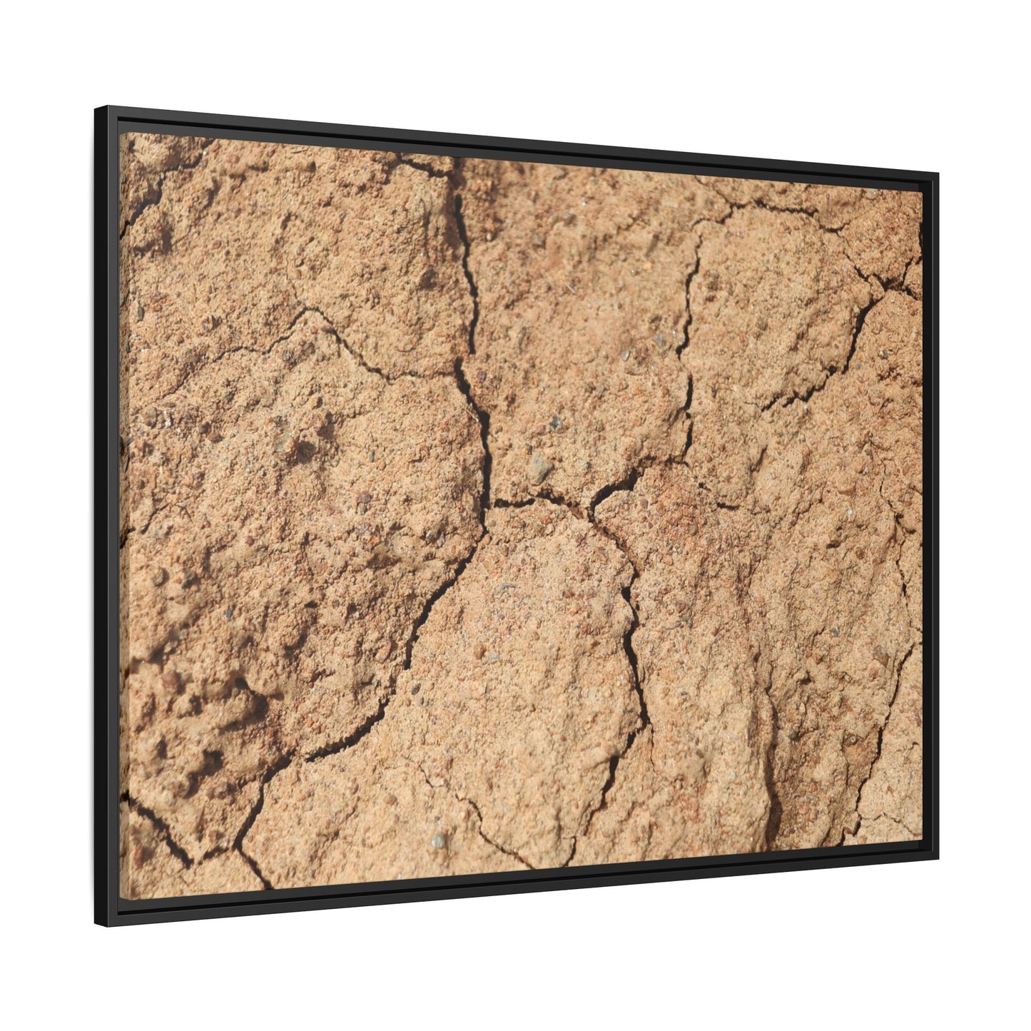 Parched Land - Unique Stretched Canvas Wall Art