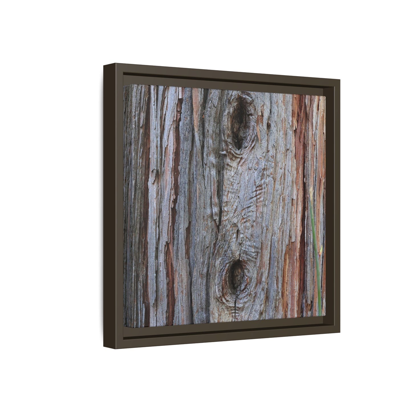 Knotty Nature - Unique Stretched Canvas Wall Art