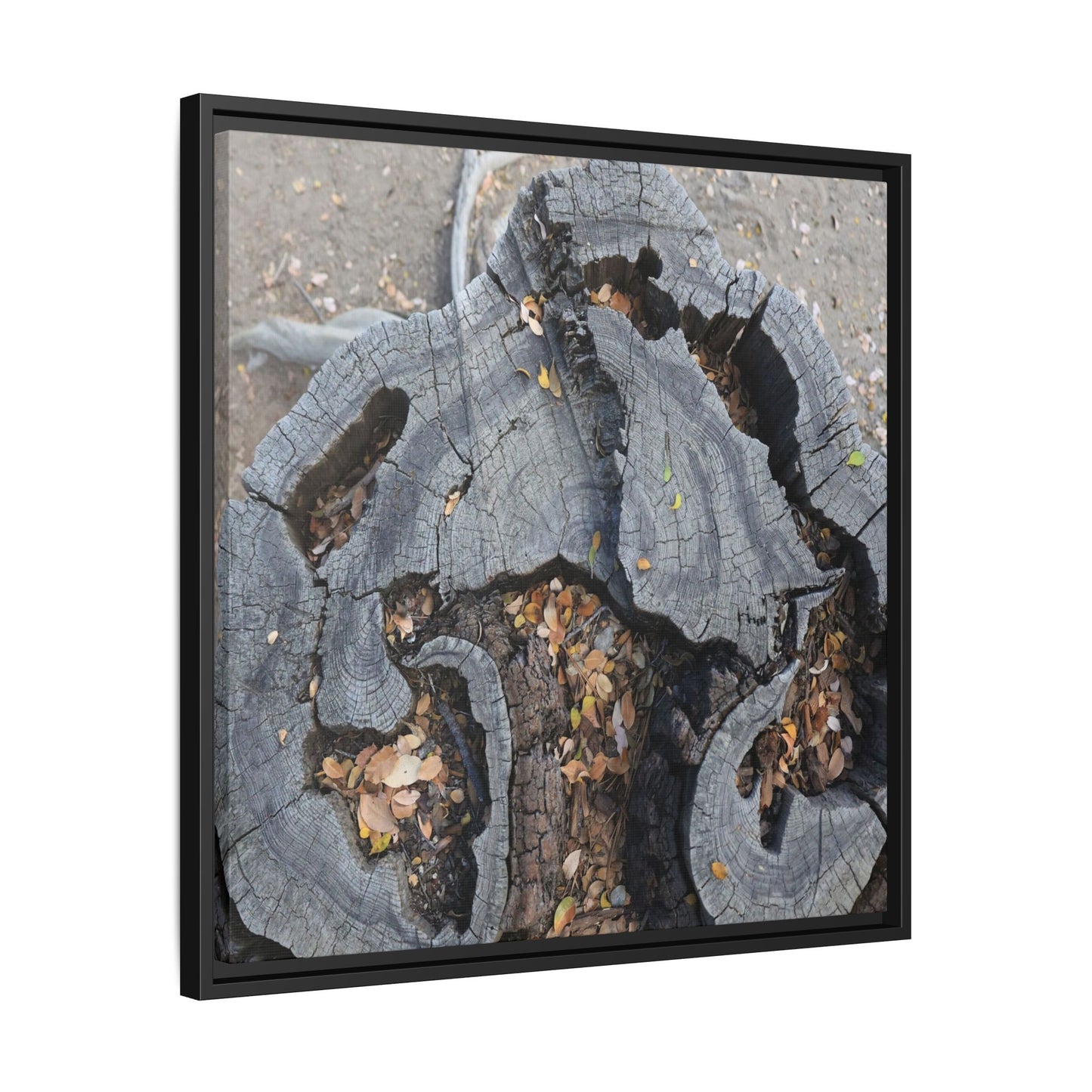 Time's Fractal Memory - Unique Stretched Canvas Wall Art