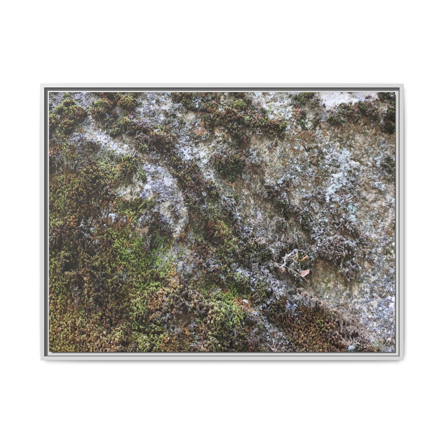 Mossy Whispers - Unique Stretched Canvas Wall Art
