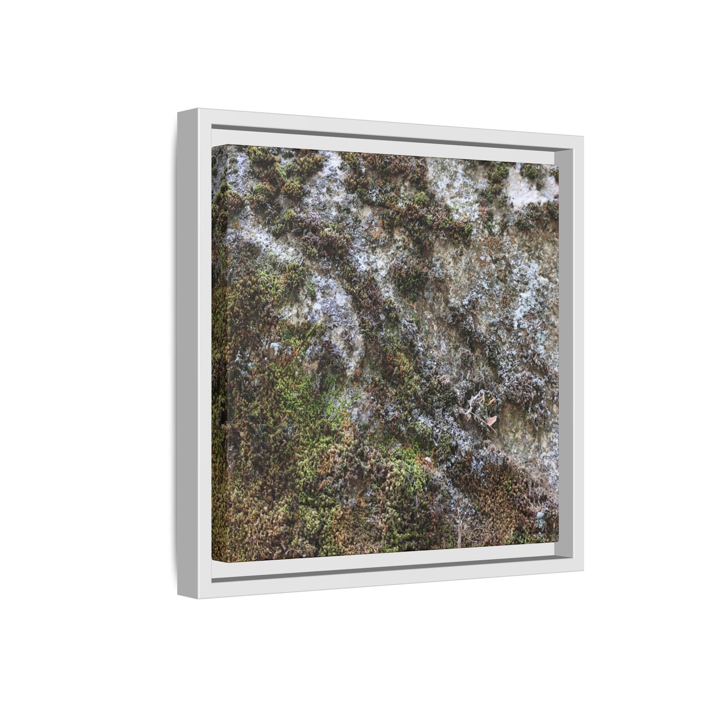 Mossy Whispers - Unique Stretched Canvas Wall Art