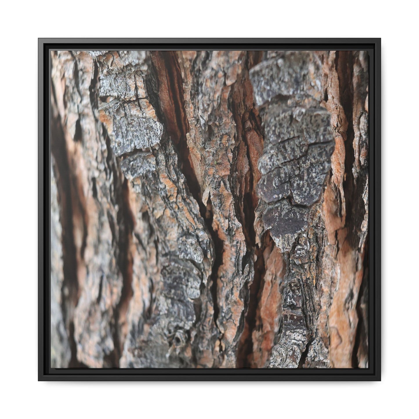 Fractured Nature - Unique Stretched Canvas Wall Art