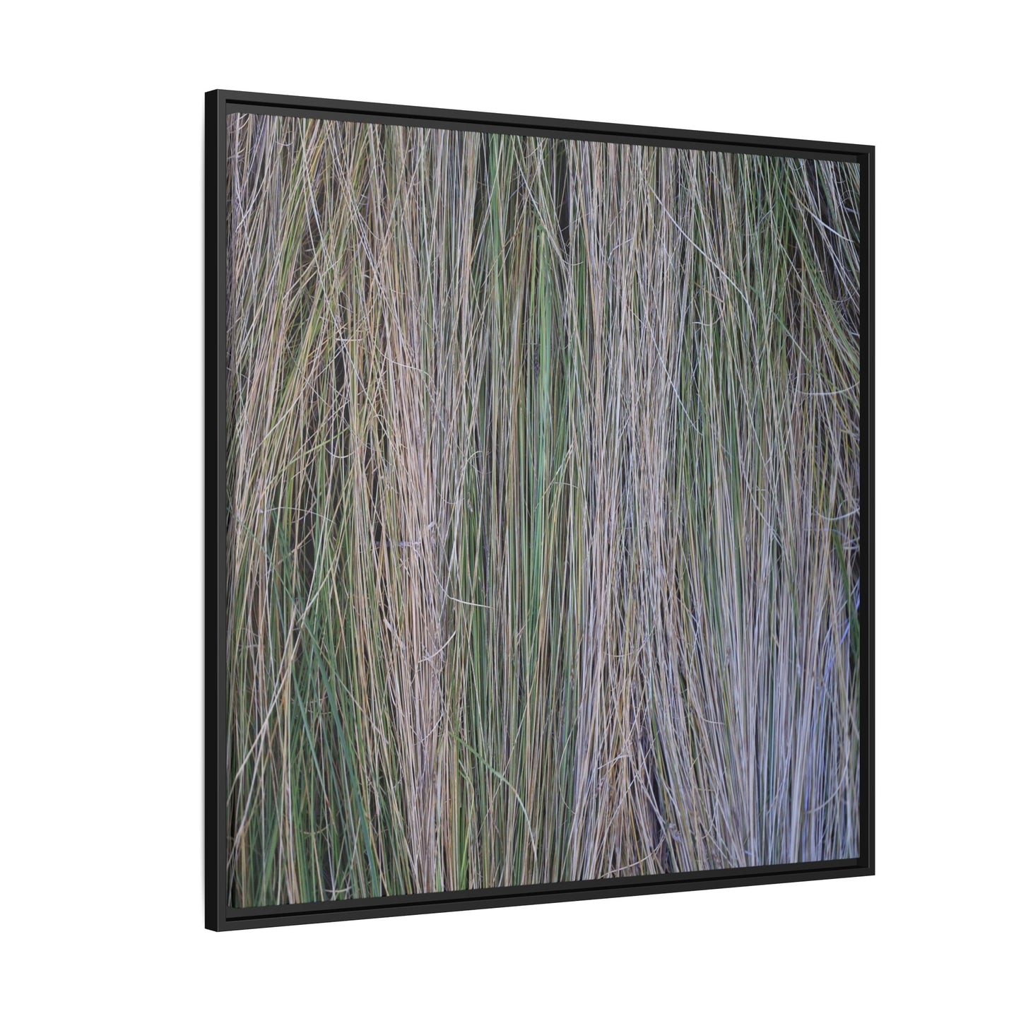 Whispers of Silver Grass - Unique Stretched Canvas Wall Art
