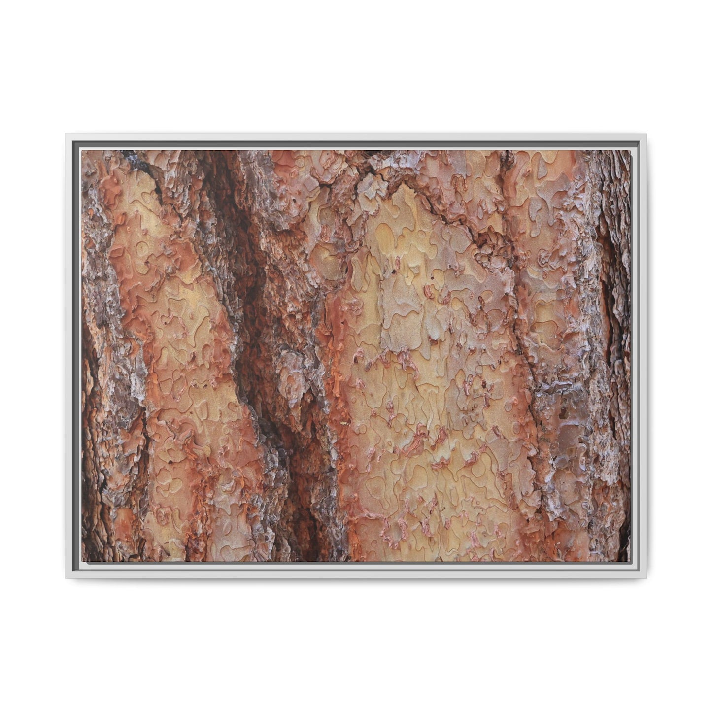 Rustic Rhythms - Unique Stretched Canvas Wall Art