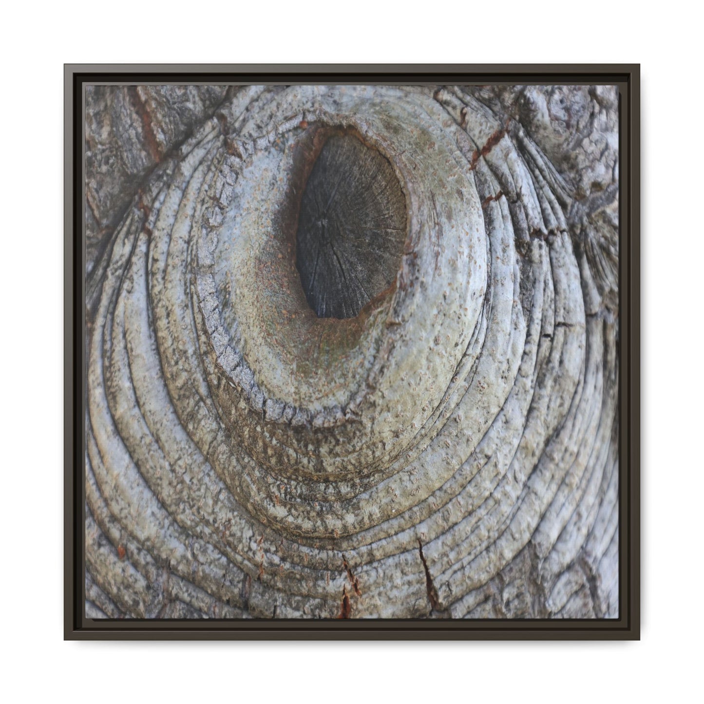 Echoes of Time - Unique Stretched Canvas Wall Art