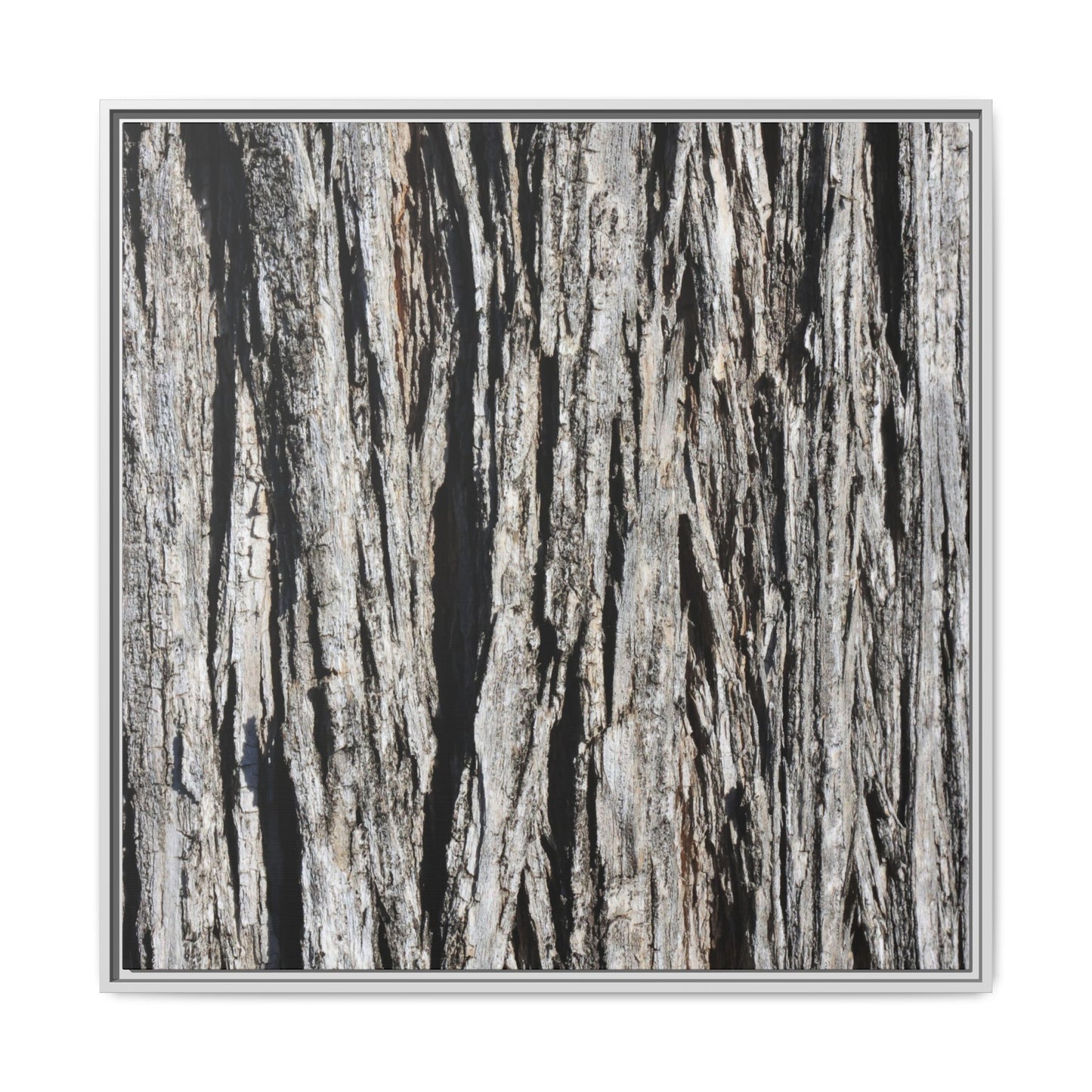 Bark Lines - Unique Stretched Canvas Wall Art