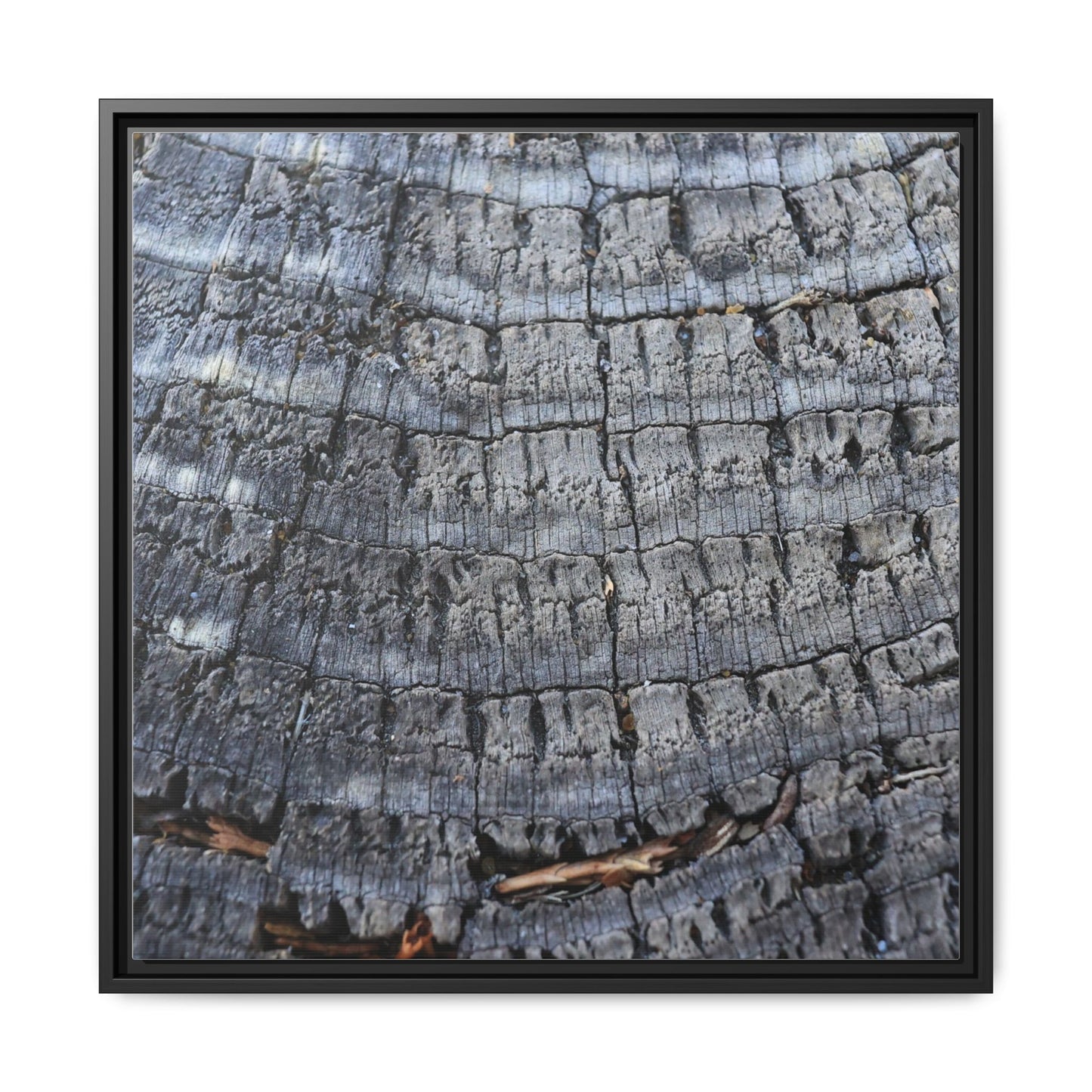 Charred Memories - Unique Stretched Canvas Wall Art