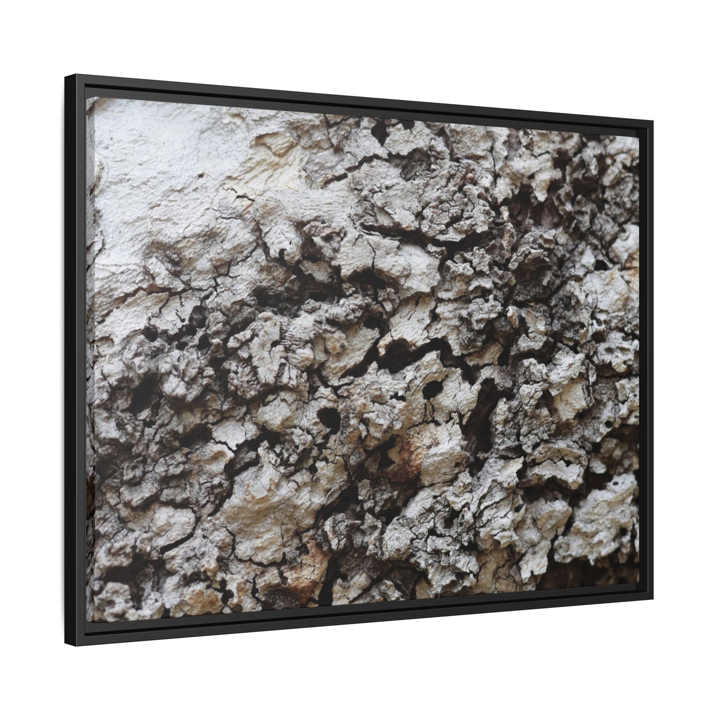 Cracked Terrain - Unique Stretched Canvas Wall Art
