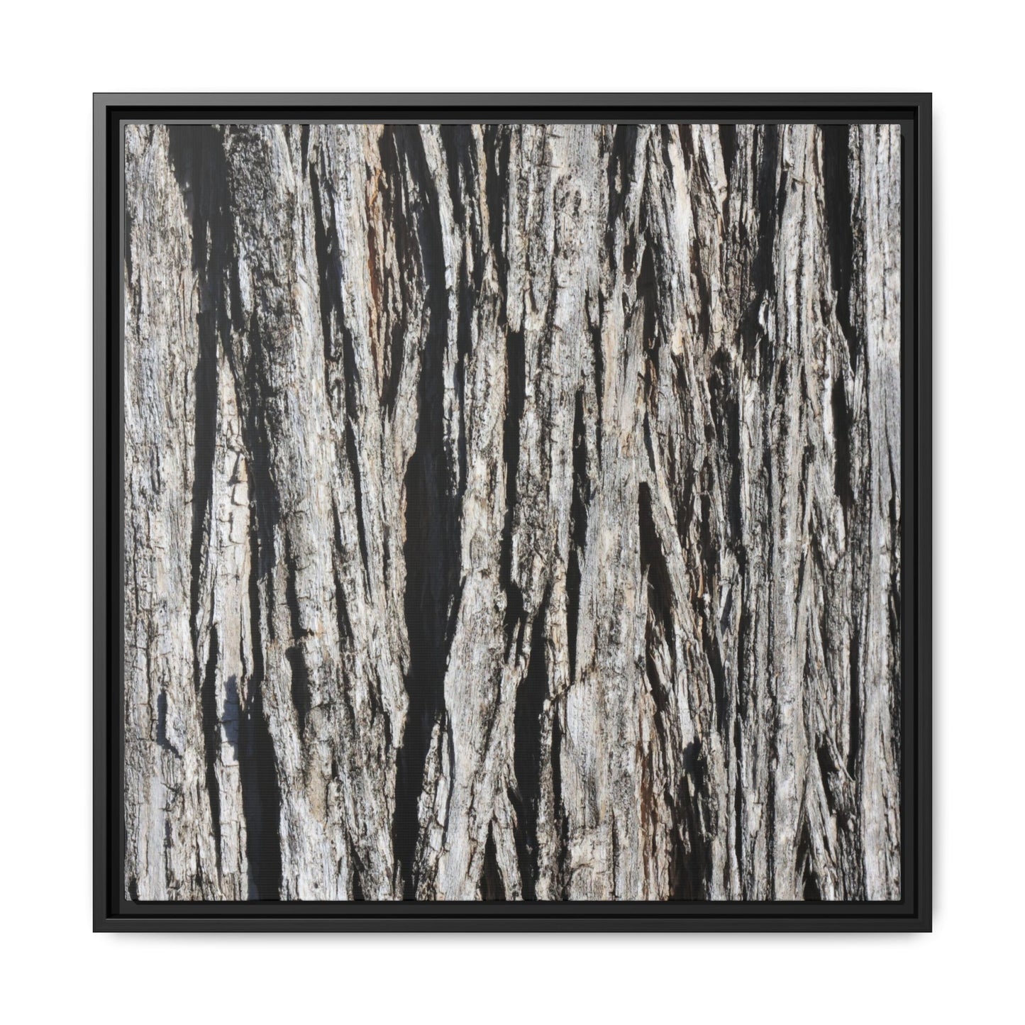 Bark Lines - Unique Stretched Canvas Wall Art