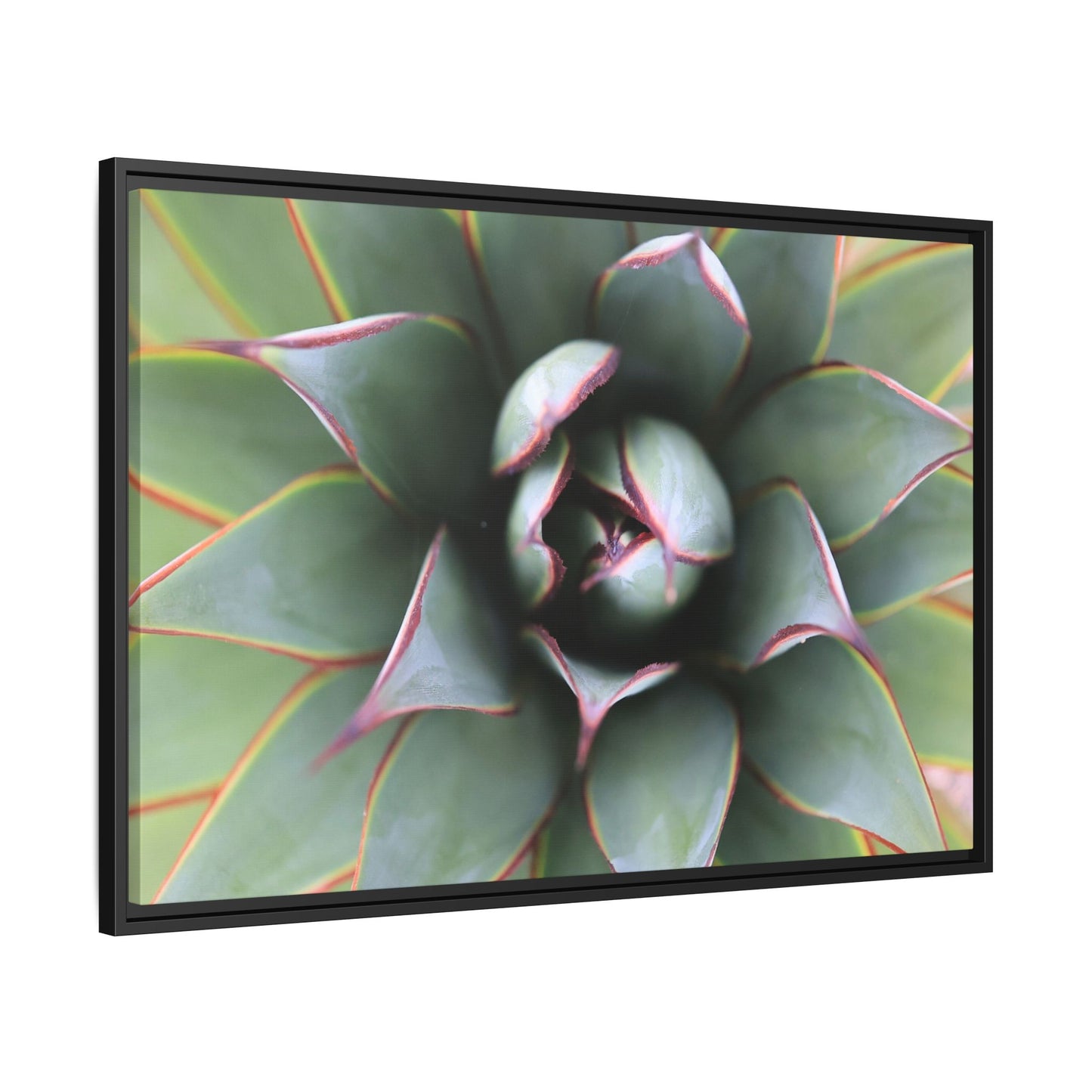 Spiky Elegance - Unique Stretched Canvas Wall Art