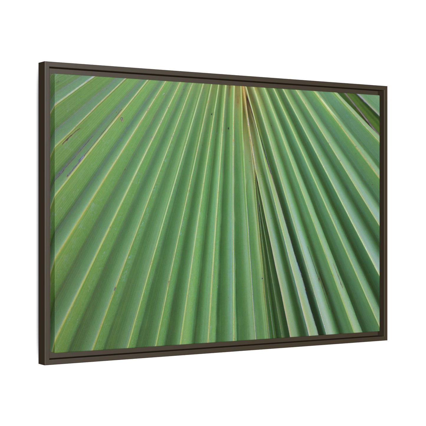 Verdant Veins - Unique Stretched Canvas Wall Art