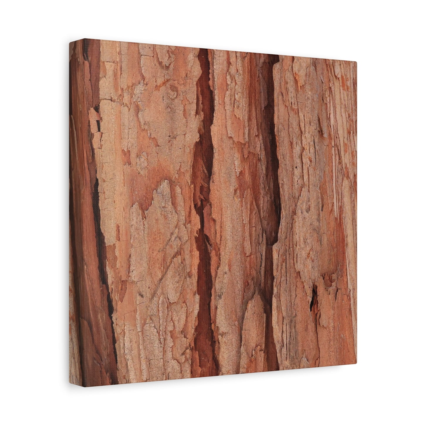 Bark Layers of Time - Unique Frameless Canvas Wall Art