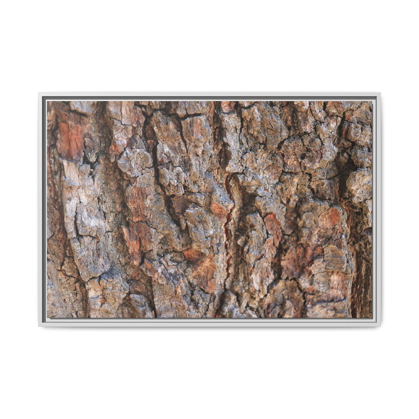 Tree's Timeworn Tale - Unique Stretched Canvas Wall Art