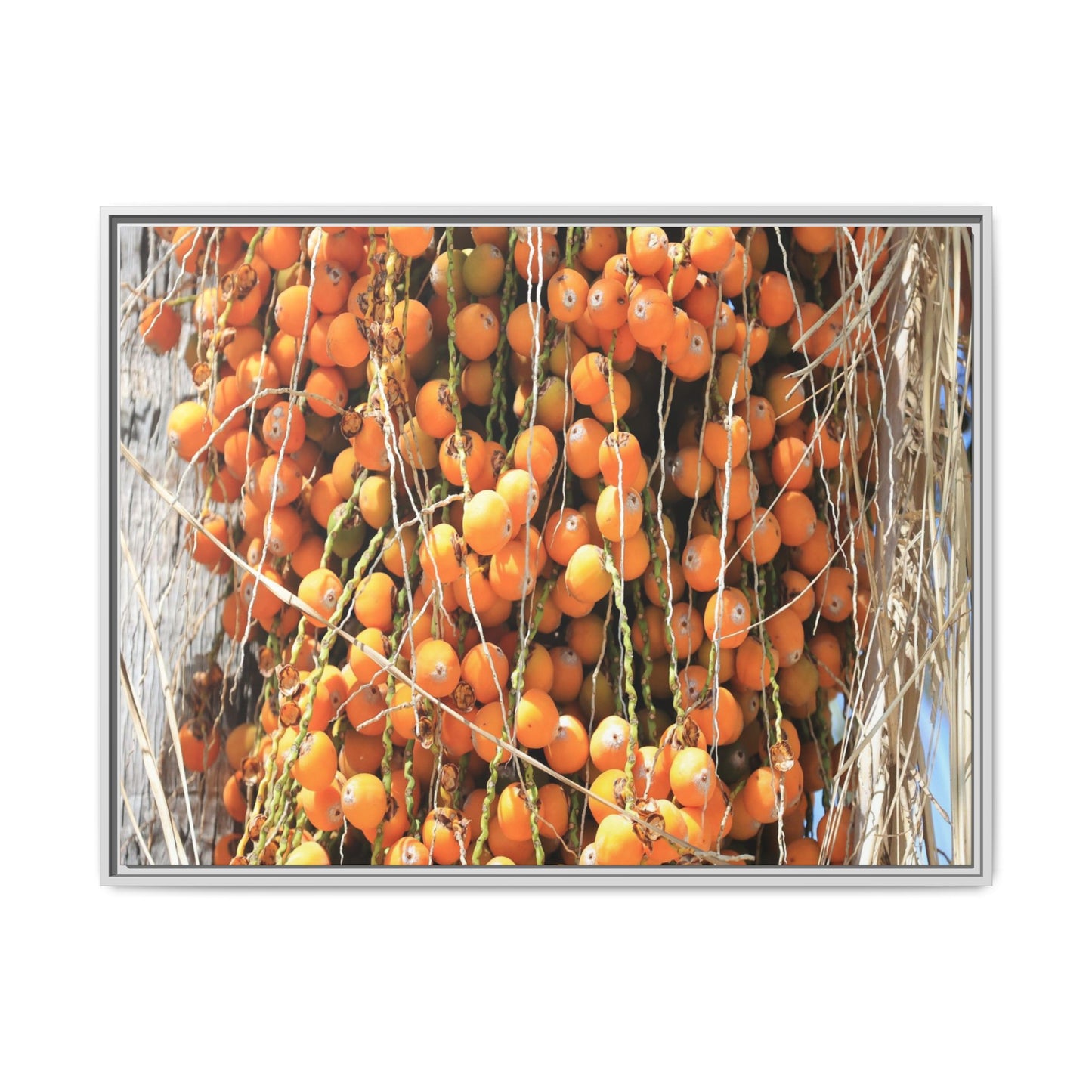 Clusters of Sunlight - Unique Canvas Wall Art