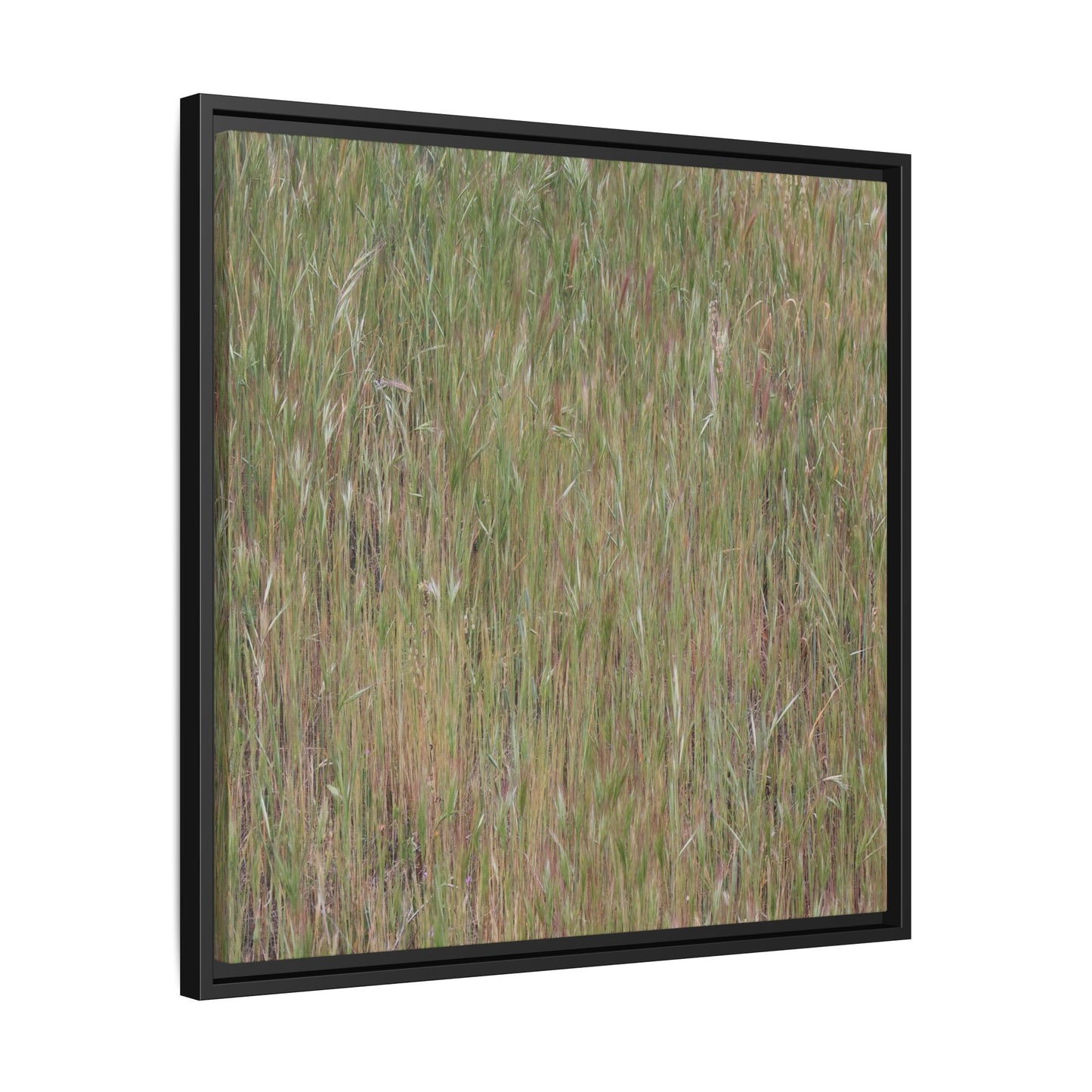 Field of Dreams - Unique Stretched Canvas Wall Art