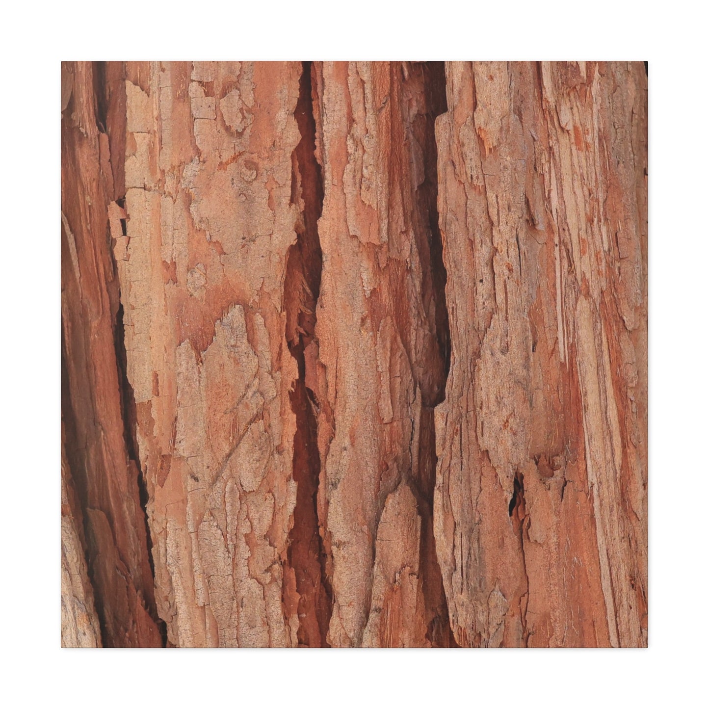 Bark Layers of Time - Unique Frameless Canvas Wall Art