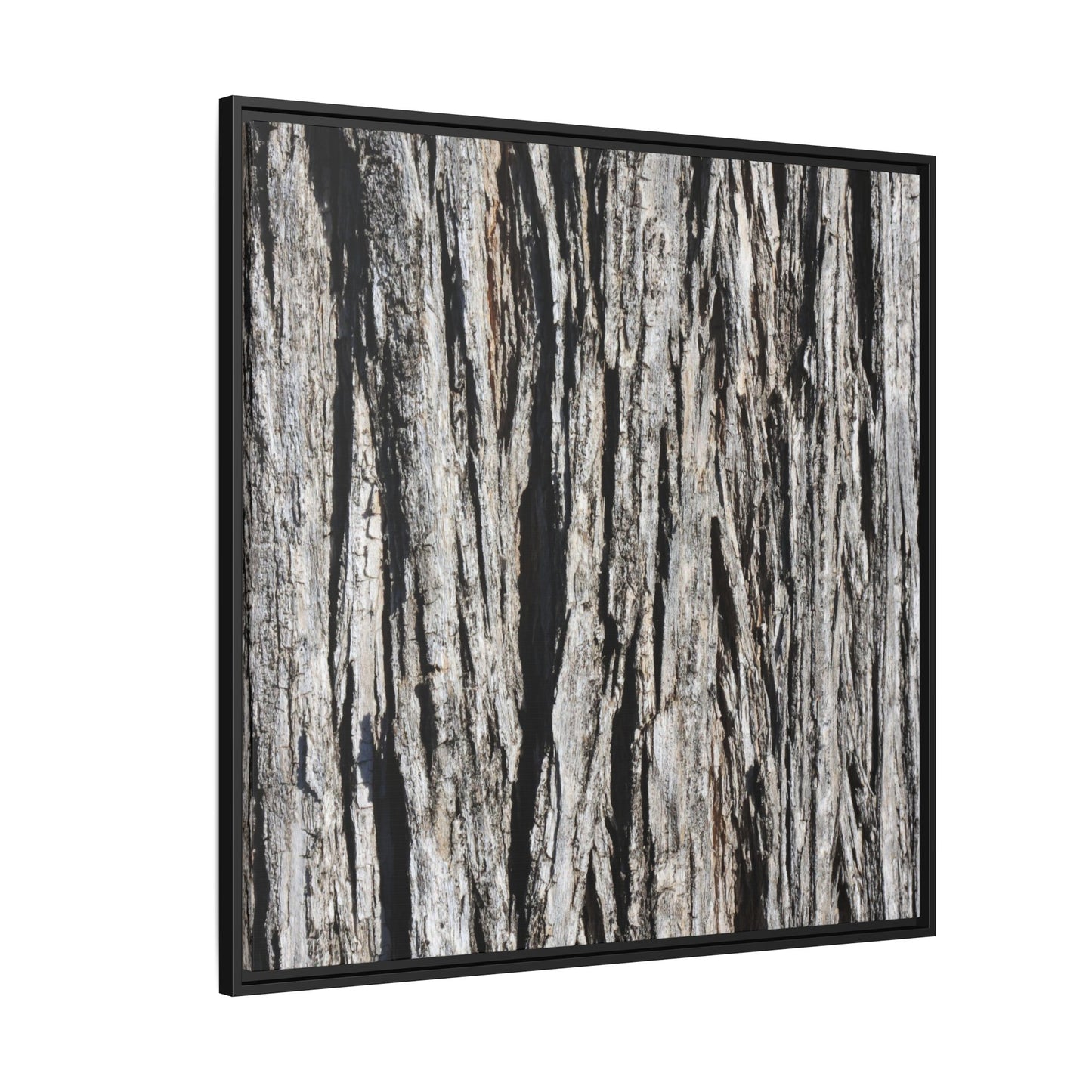 Bark Lines - Unique Stretched Canvas Wall Art