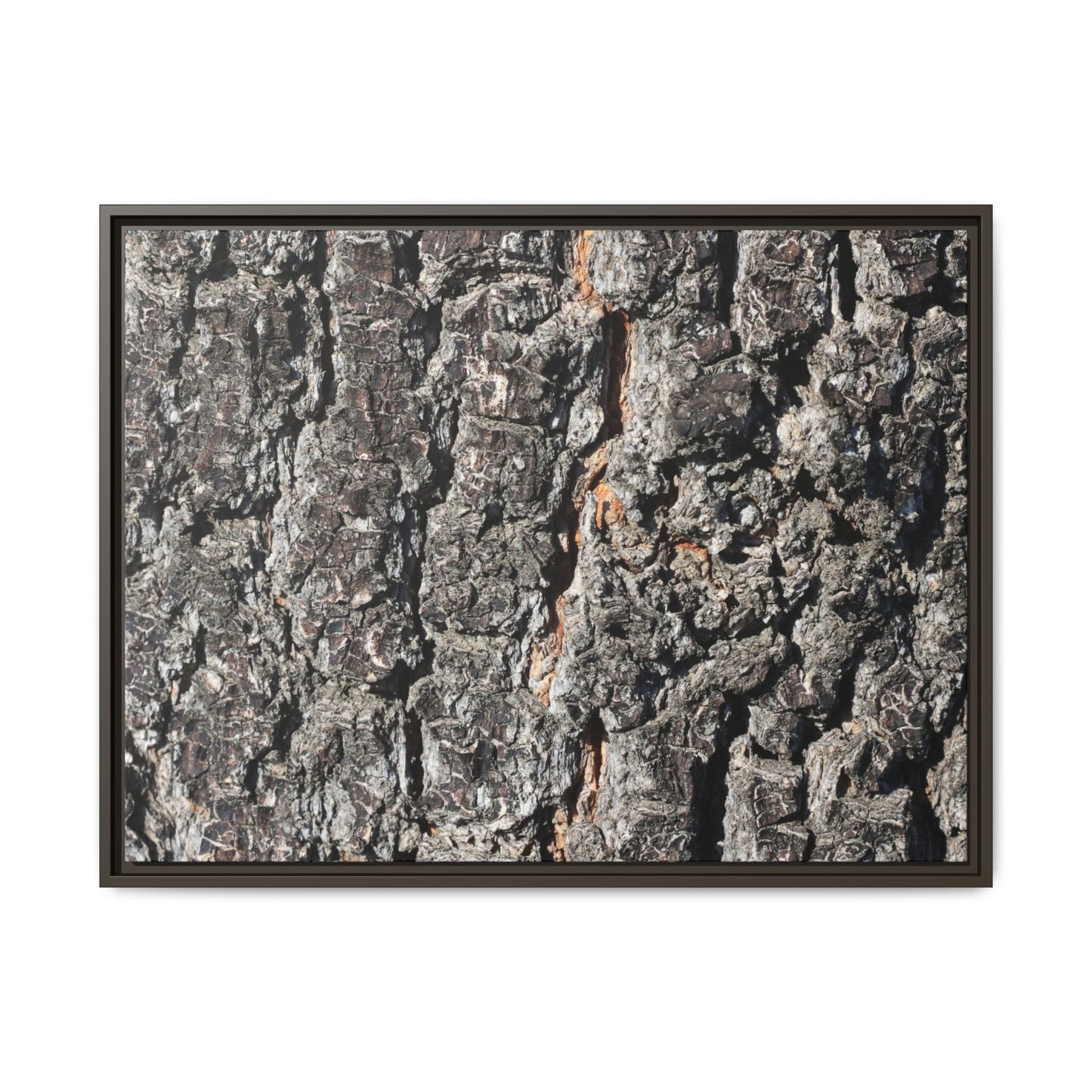 Aged Beauty - Unique Stretched Canvas Wall Art