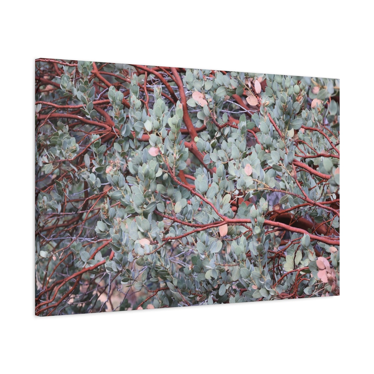 Whispers of Silver and Rust - Unique Frameless Canvas Wall Art