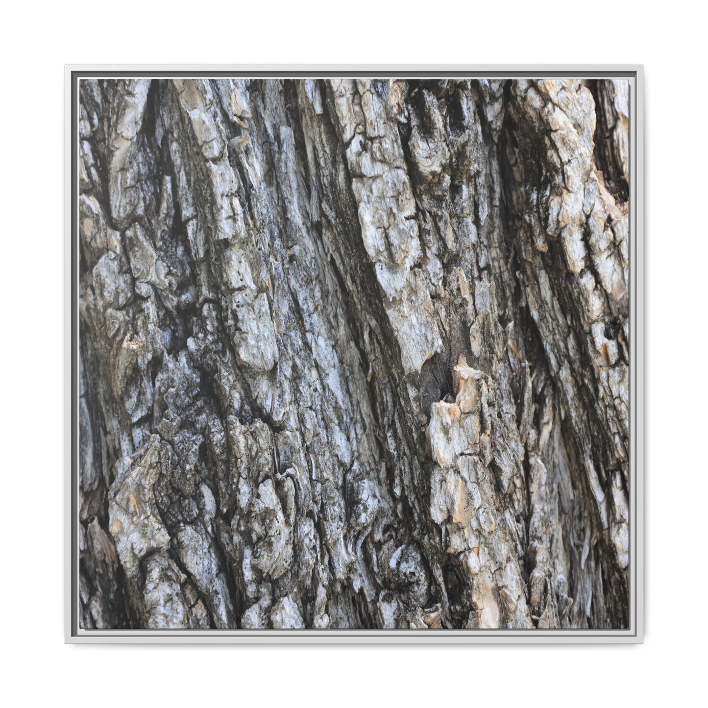 Twisted Textures - Unique Stretched Canvas Wall Art