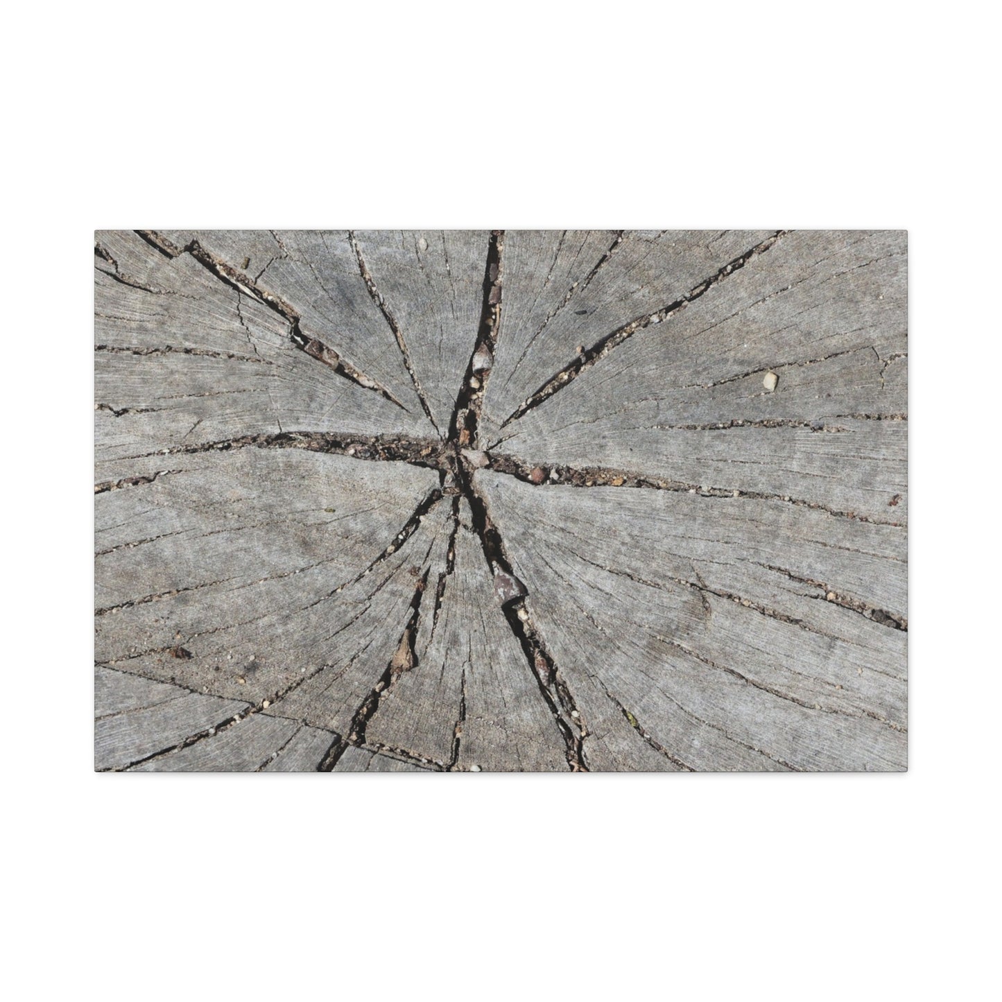 Cracked Chronicle - Unique Frameless Canvas Wall Art