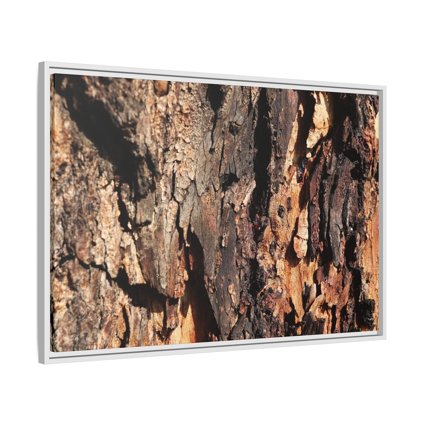 Rugged Beauty - Unique Stretched Canvas Wall Art