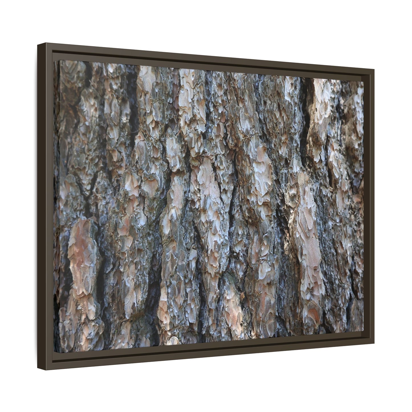 Bark Whispers - Unique Stretched Canvas Wall Art