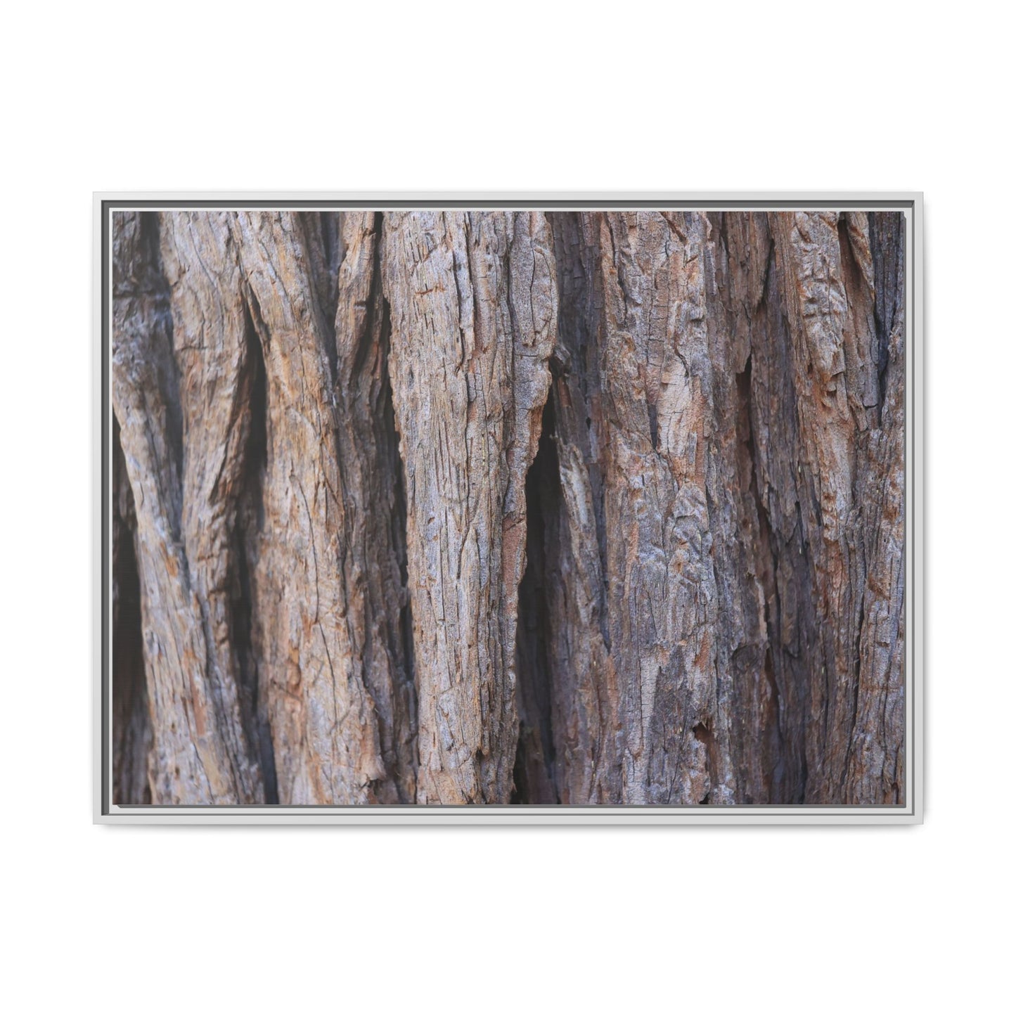 Ancient Grains - Unique Stretched Canvas Wall Art