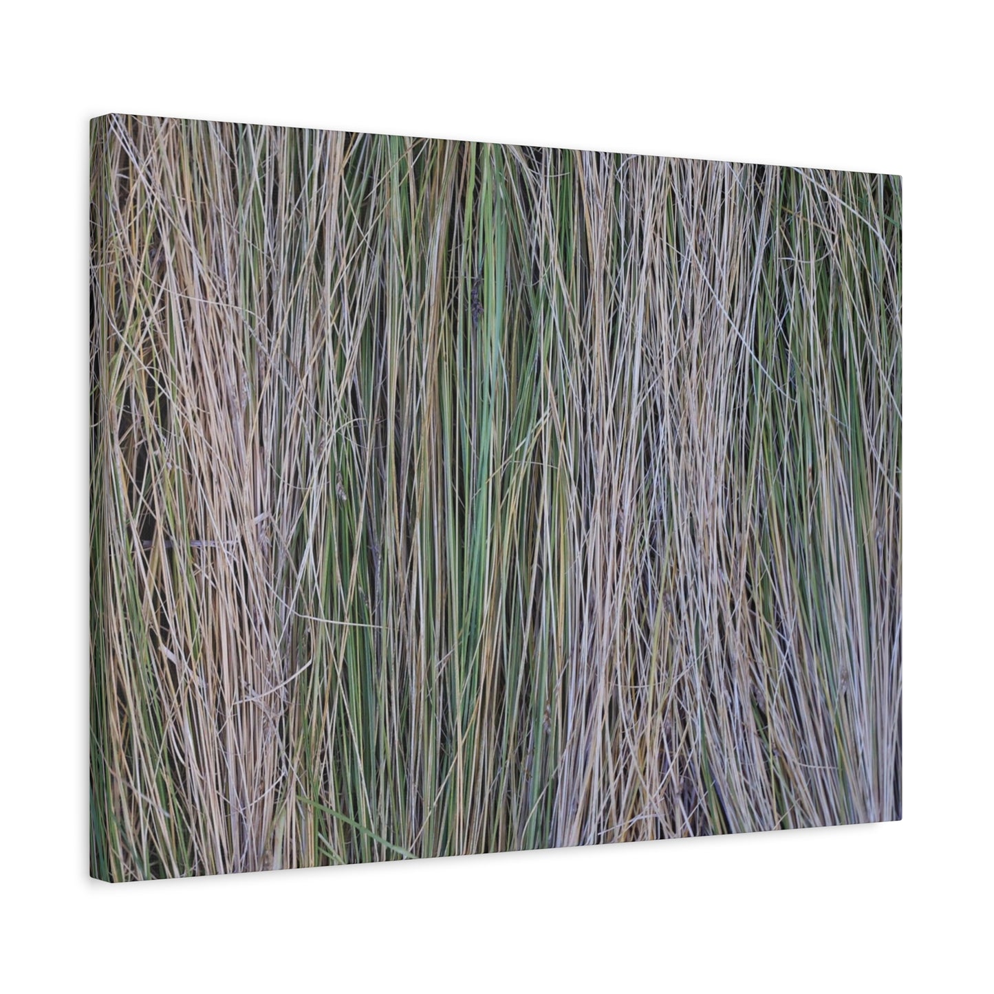 Whispers of Grass - Unique Frameless Canvas Wall Art