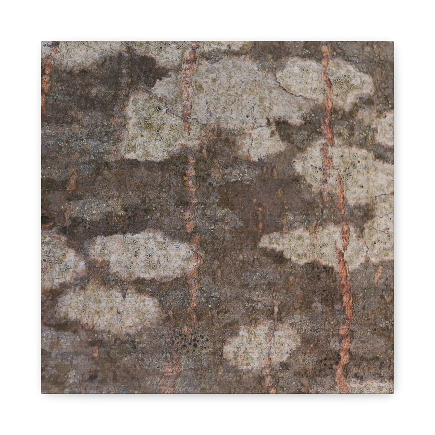 Earthen Memoir - Unique Frameless Canvas Wall Art
