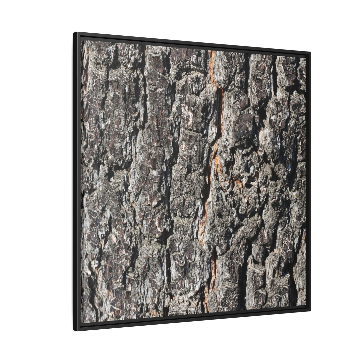 Aged Beauty - Unique Stretched Canvas Wall Art