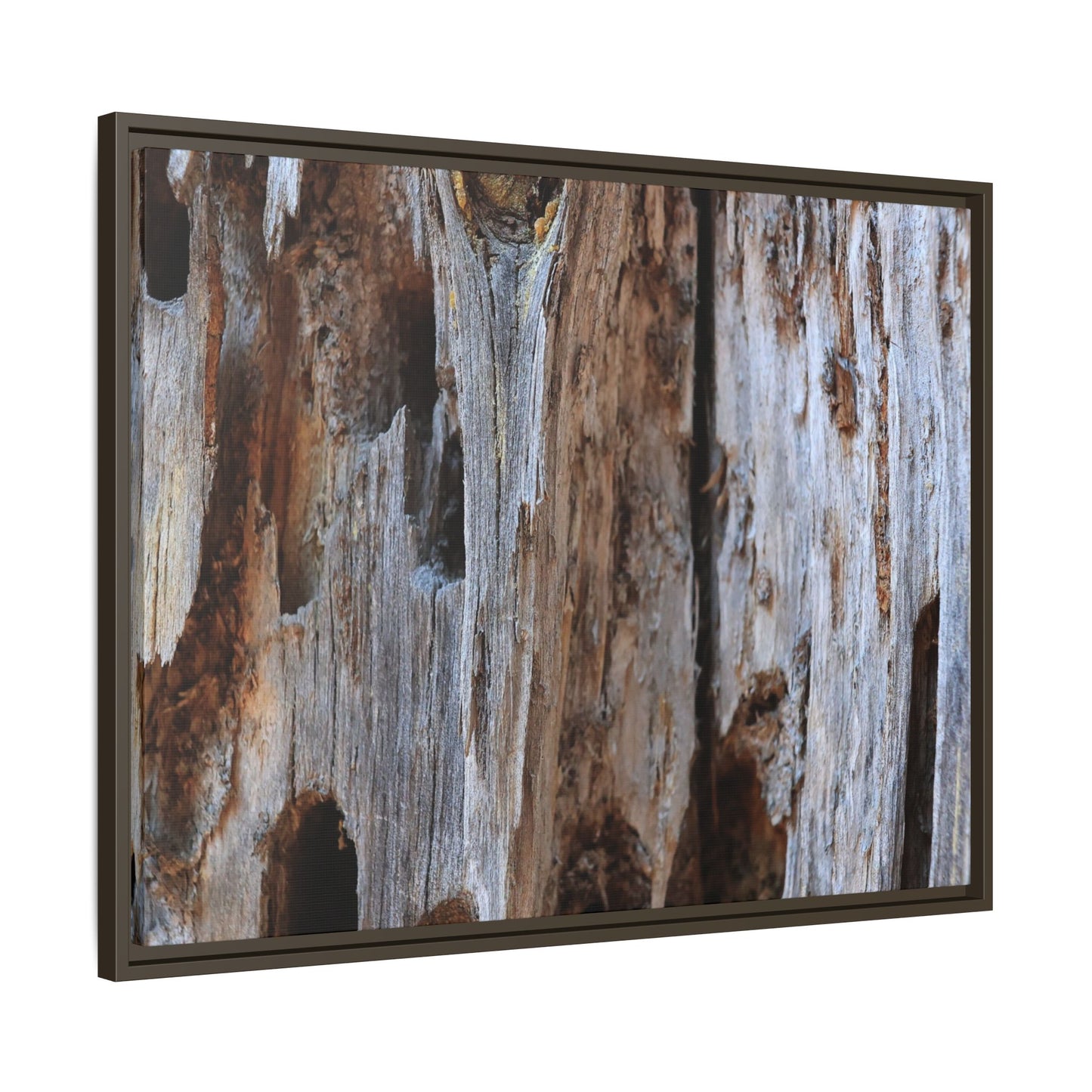 Decaying Splendor - Unique Stretched Canvas Wall Art