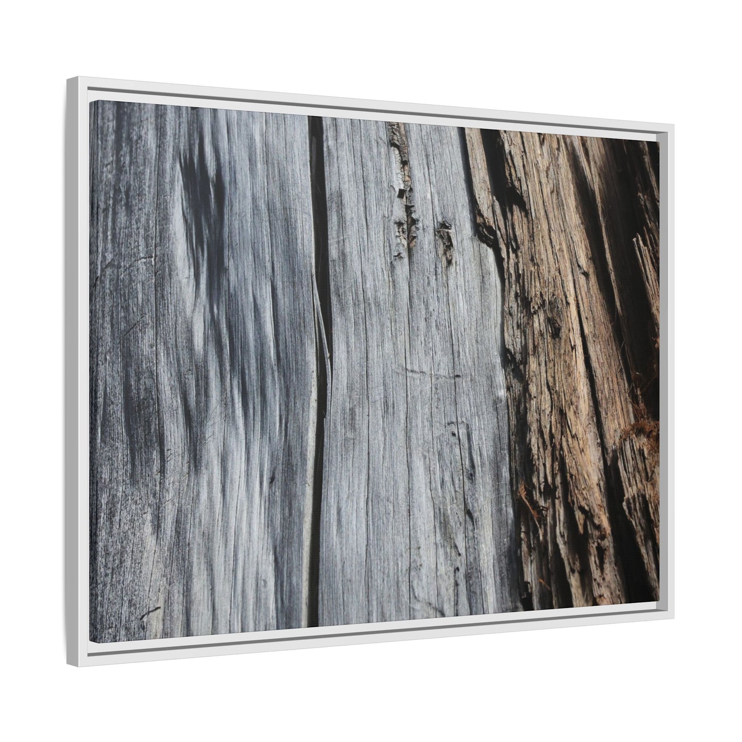 Wood's Lament - Unique Stretched Canvas Wall Art