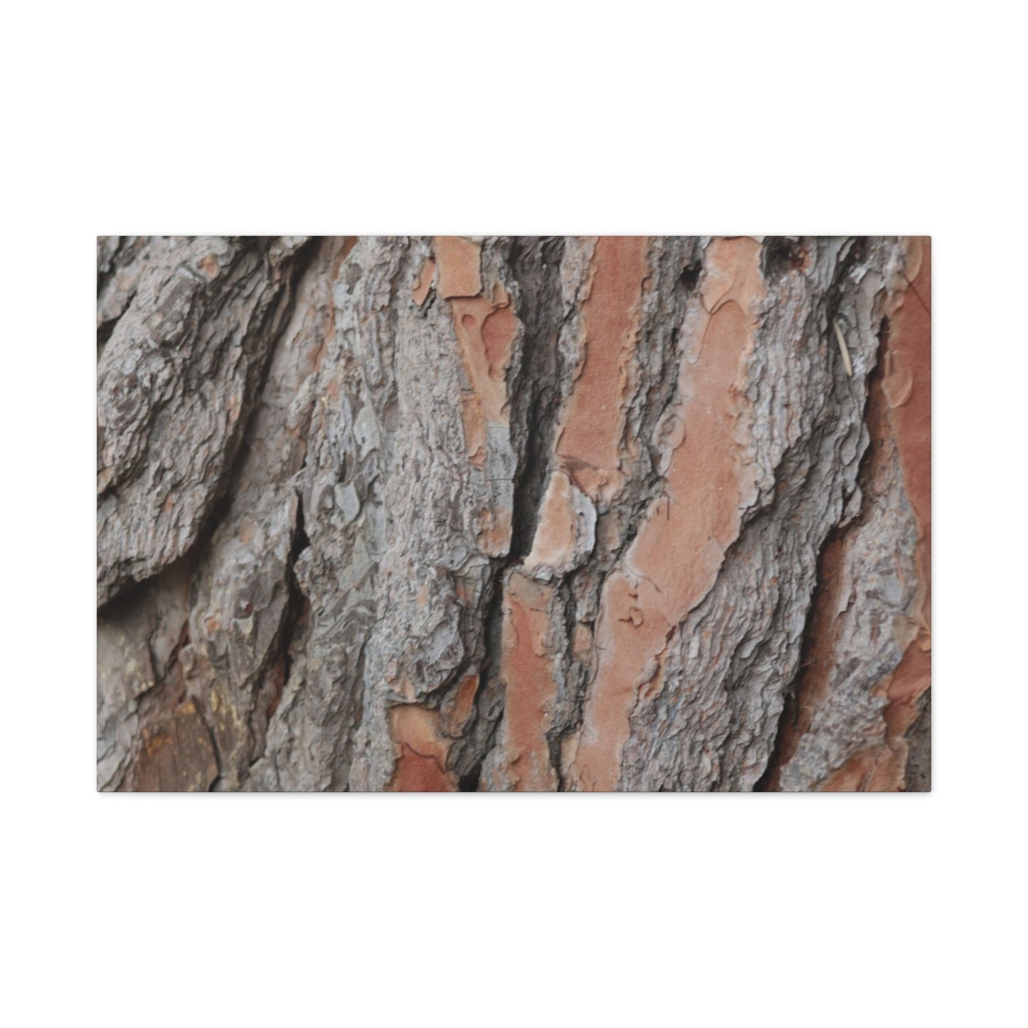 Fractal Landscape - Unique Frameless Canvas Wall Art